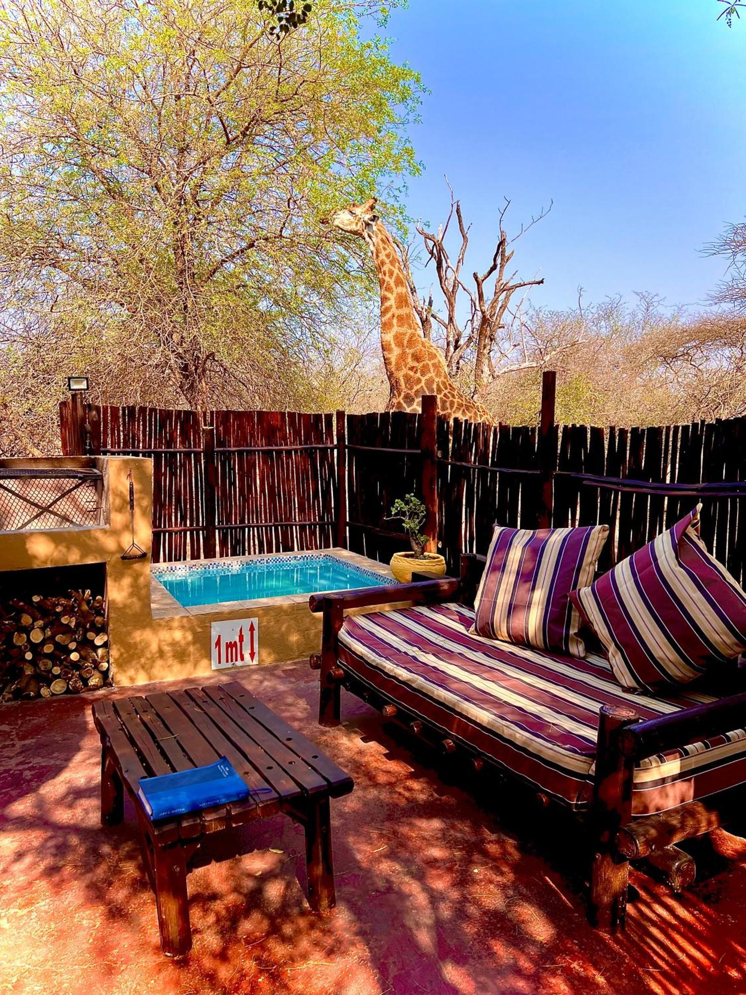 Manzini Chalets Marloth Park Ngoại thất bức ảnh